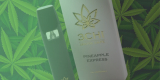 3Chi Delta 6a10a Disposable Vape Review