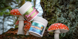Amanita Mushrooms: How They’re Being Used In Today’s Products