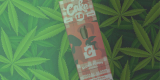 Cake Delta 8 Day Buzz Blend Disposable Vape Review