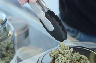Cannabis Business